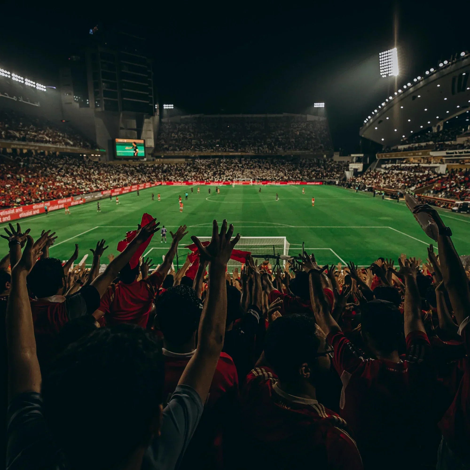 Seventy Thousand People, One Nervous System