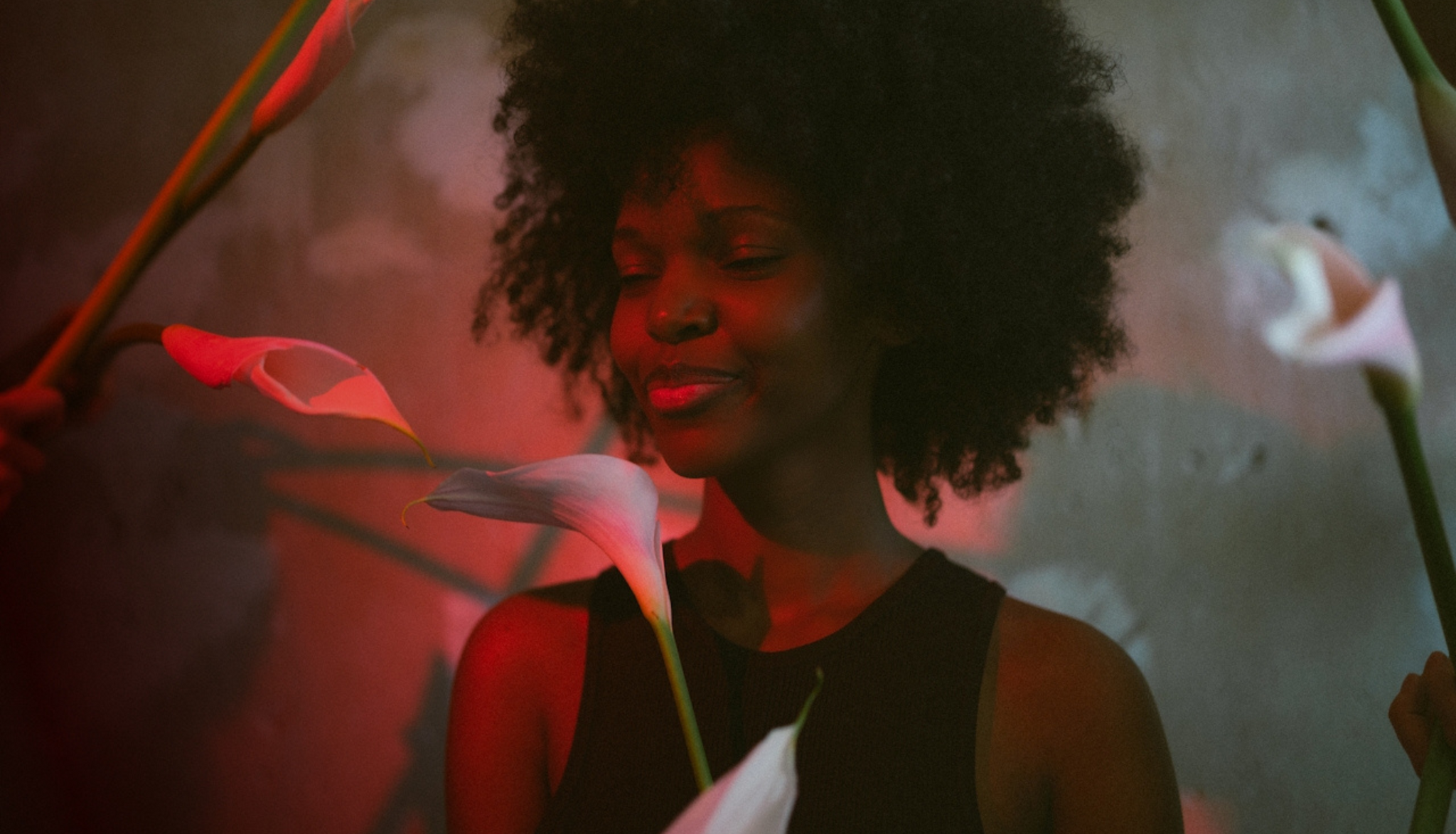 Do Plants Make You Kinder? The Surprising Science Behind Houseplants