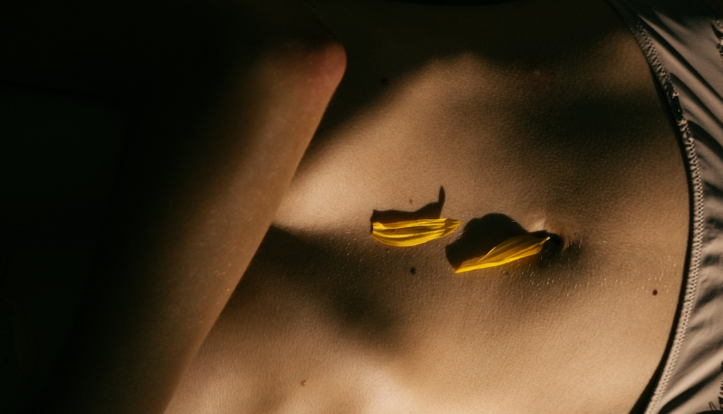 Gut Health + Immune System: Why October Is Probiotic Season