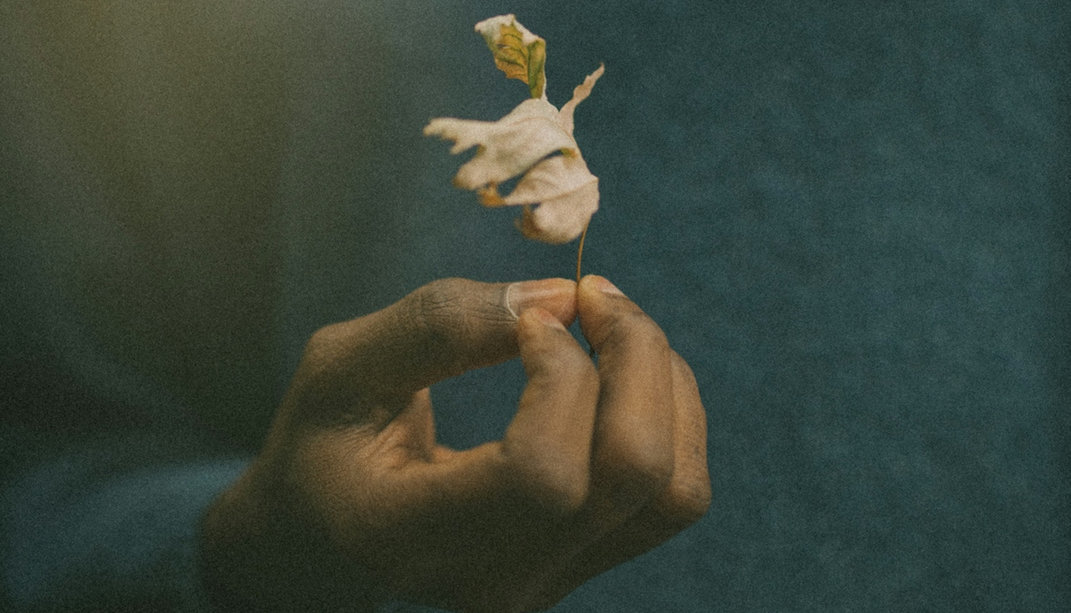 You’re Not Broken. You’re Tired. What Love and Connection Actually Need When Capacity Is Low