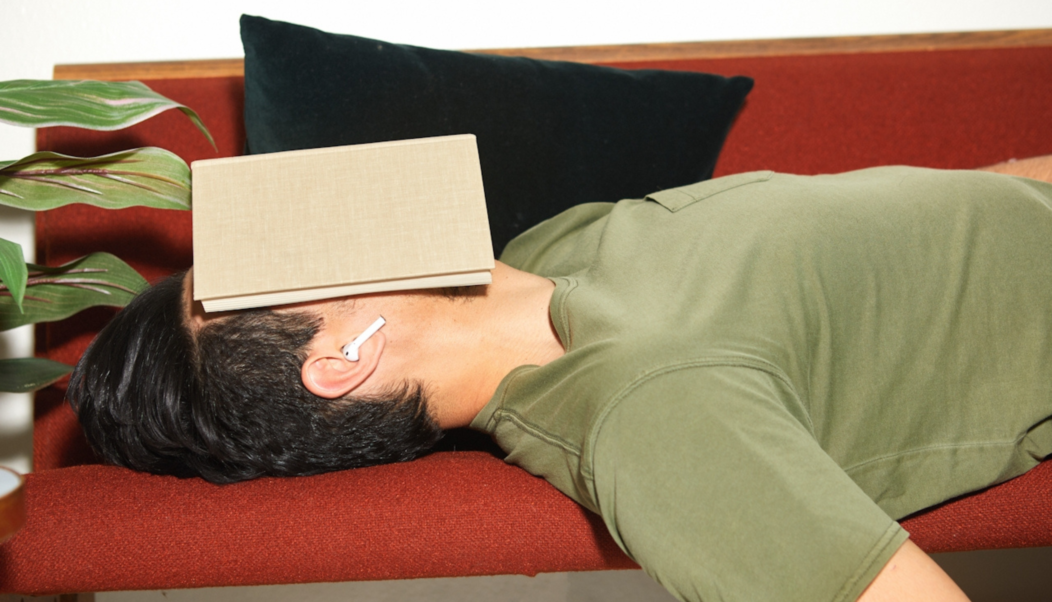 Sunlight, Sleep & Screentime: Your Nervous System Called, It Wants a Holiday