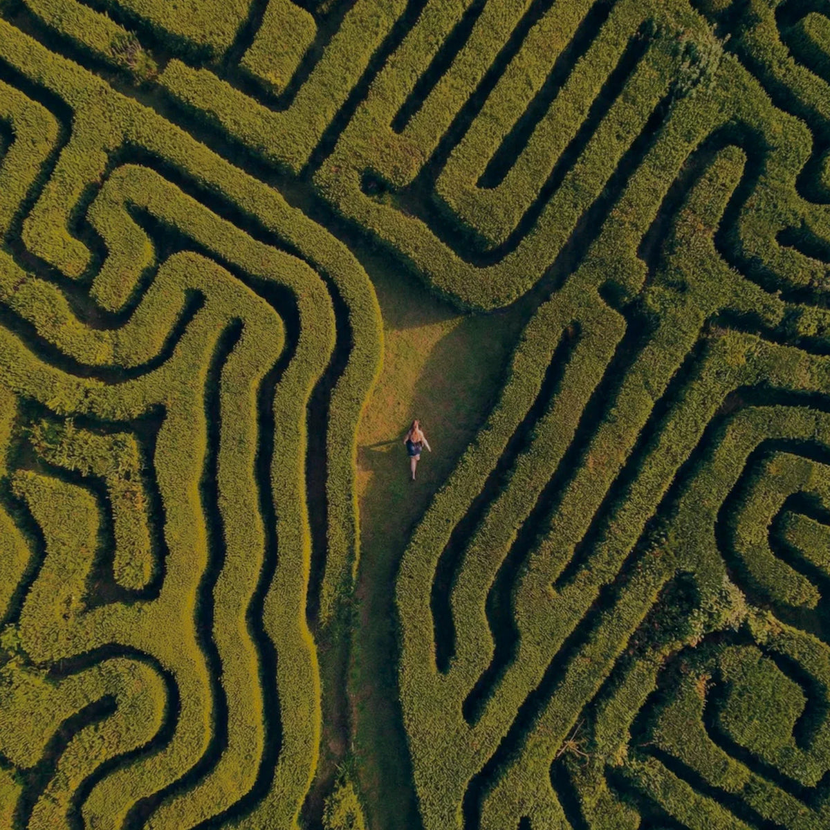 The Escape Fantasy: Why Stress Travels With You