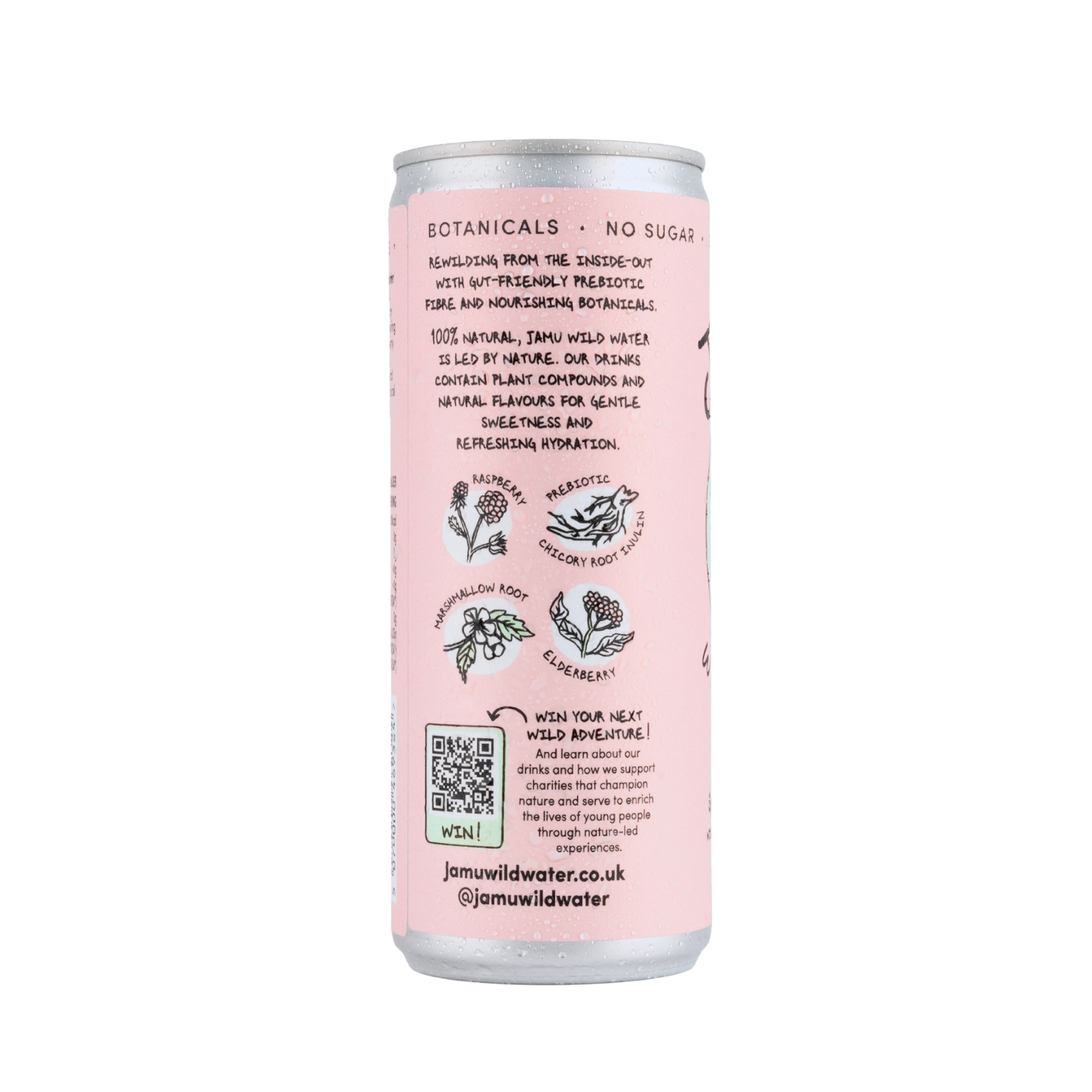Raspberry Sparkling Water