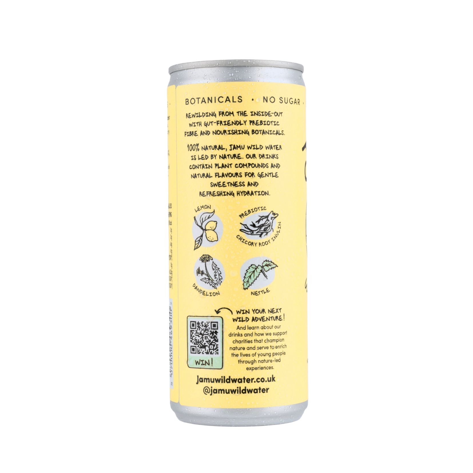 Lemon Sparkling Water