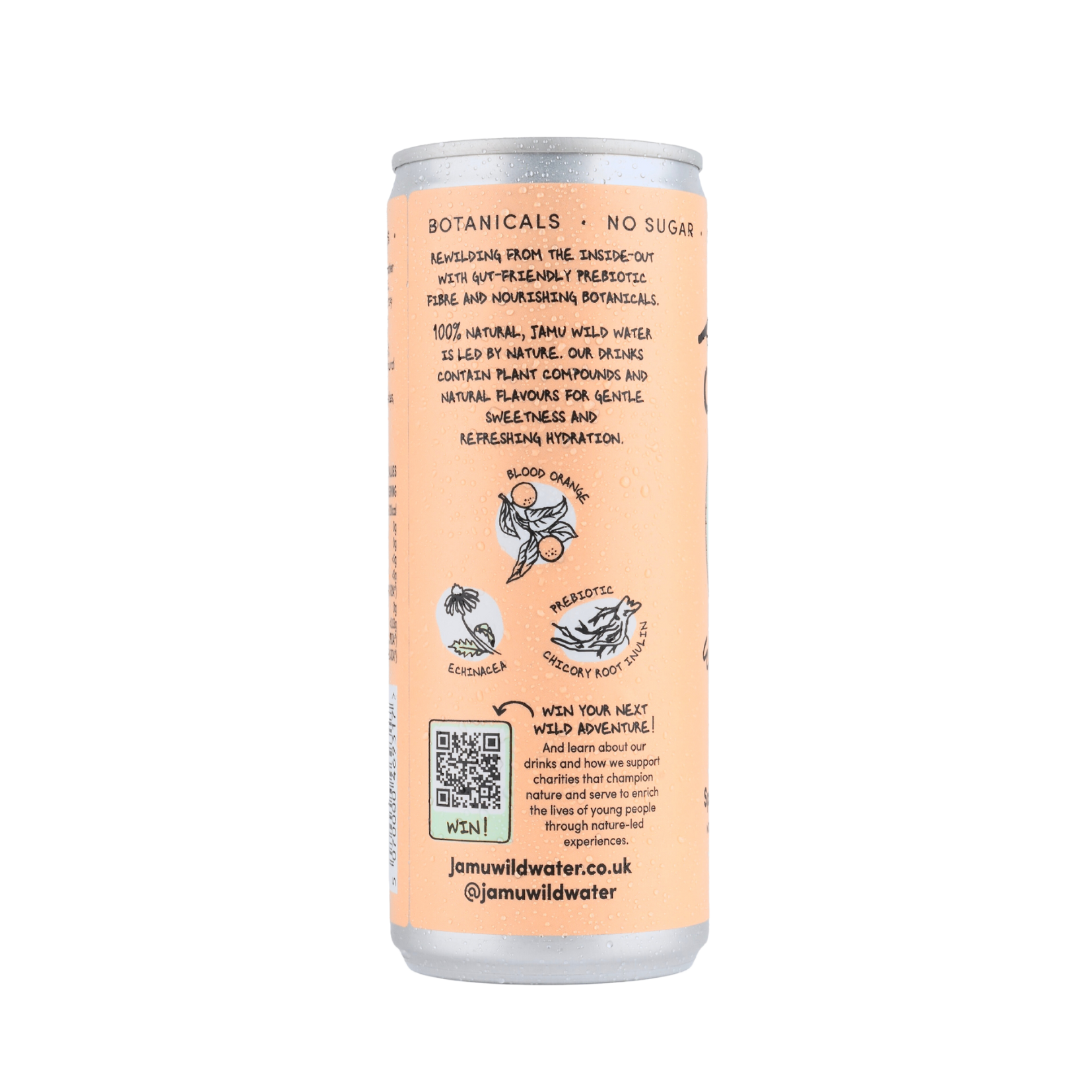 Blood Orange Sparkling Water