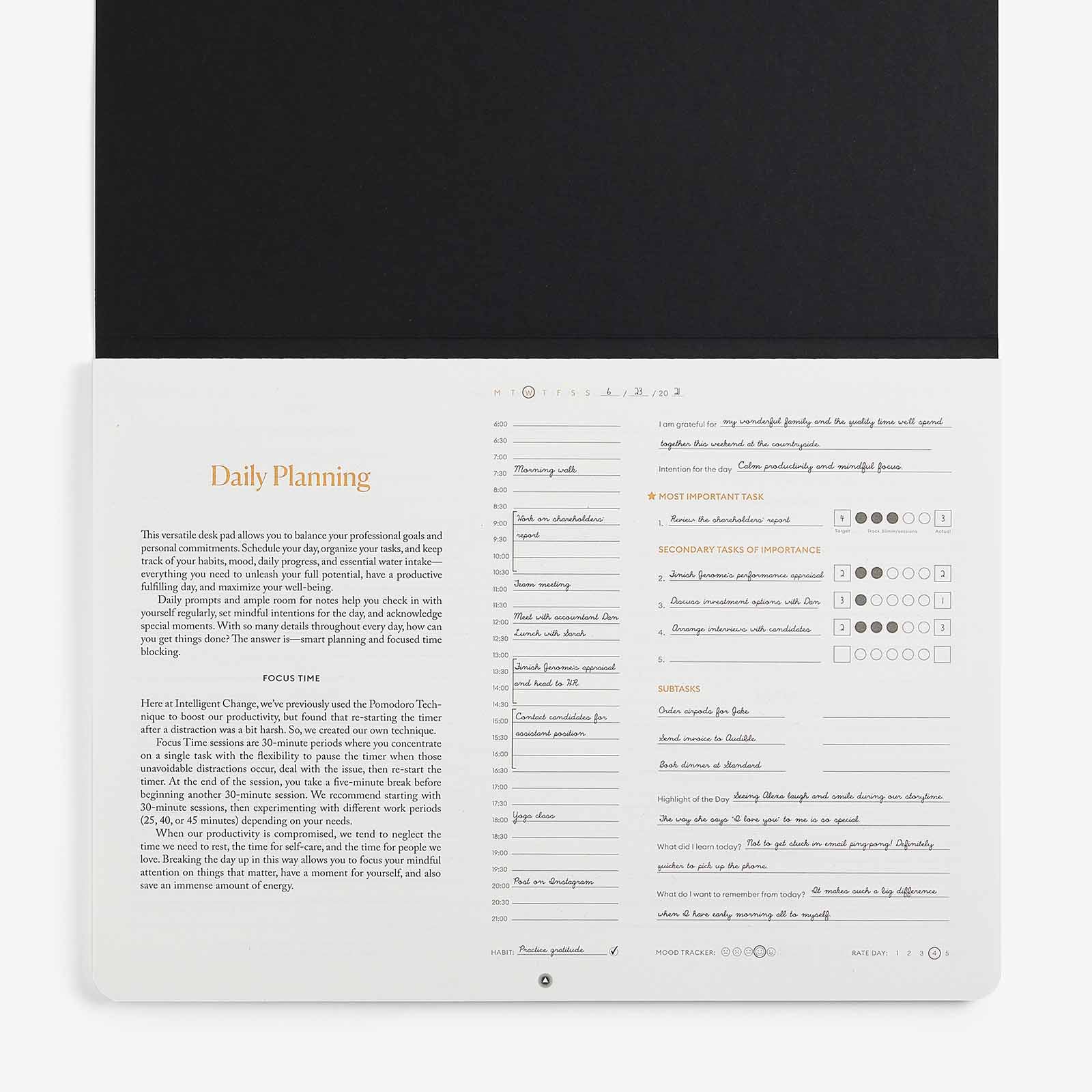 Productivity Daily Desk Pad