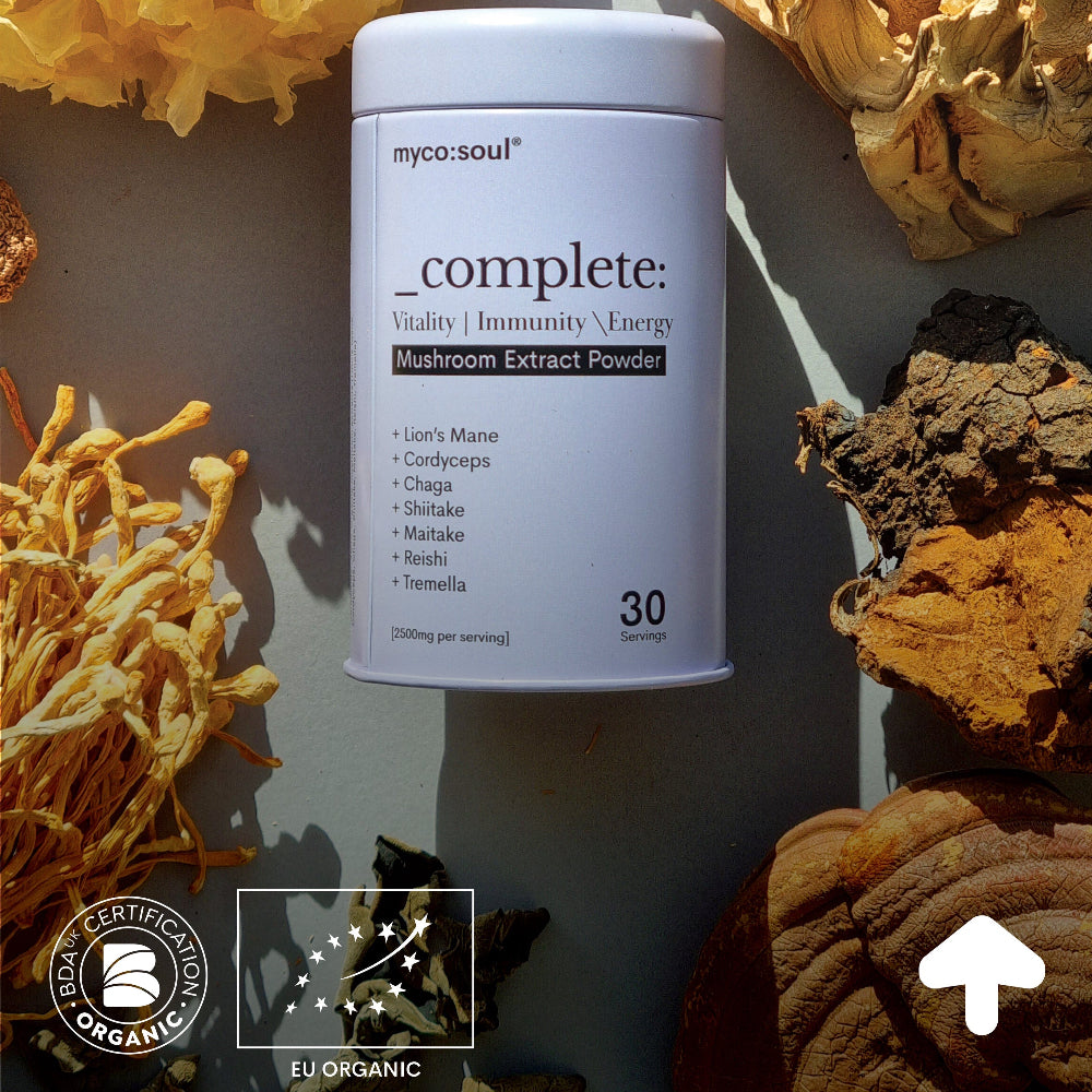 Mycosoul mushroom extract powder container surrounded by various dried mushrooms on a neutral background