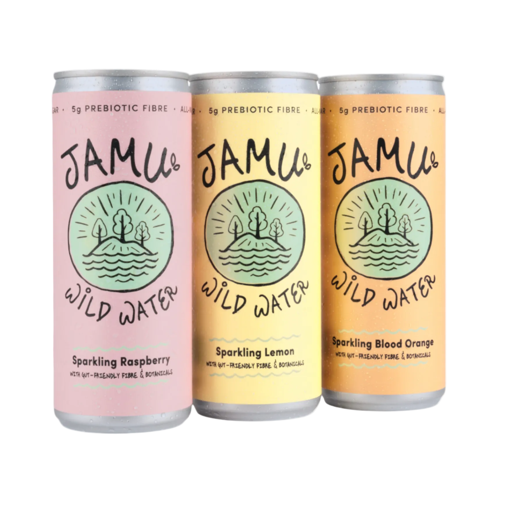 Mixed Case Sparkling Water