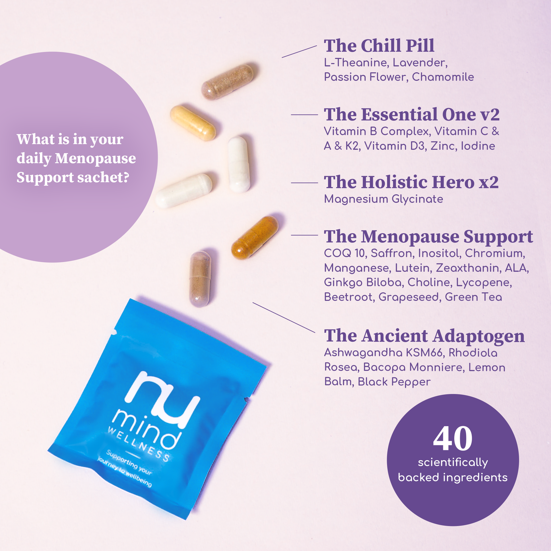 Menopause Support X Charlotte Hunter