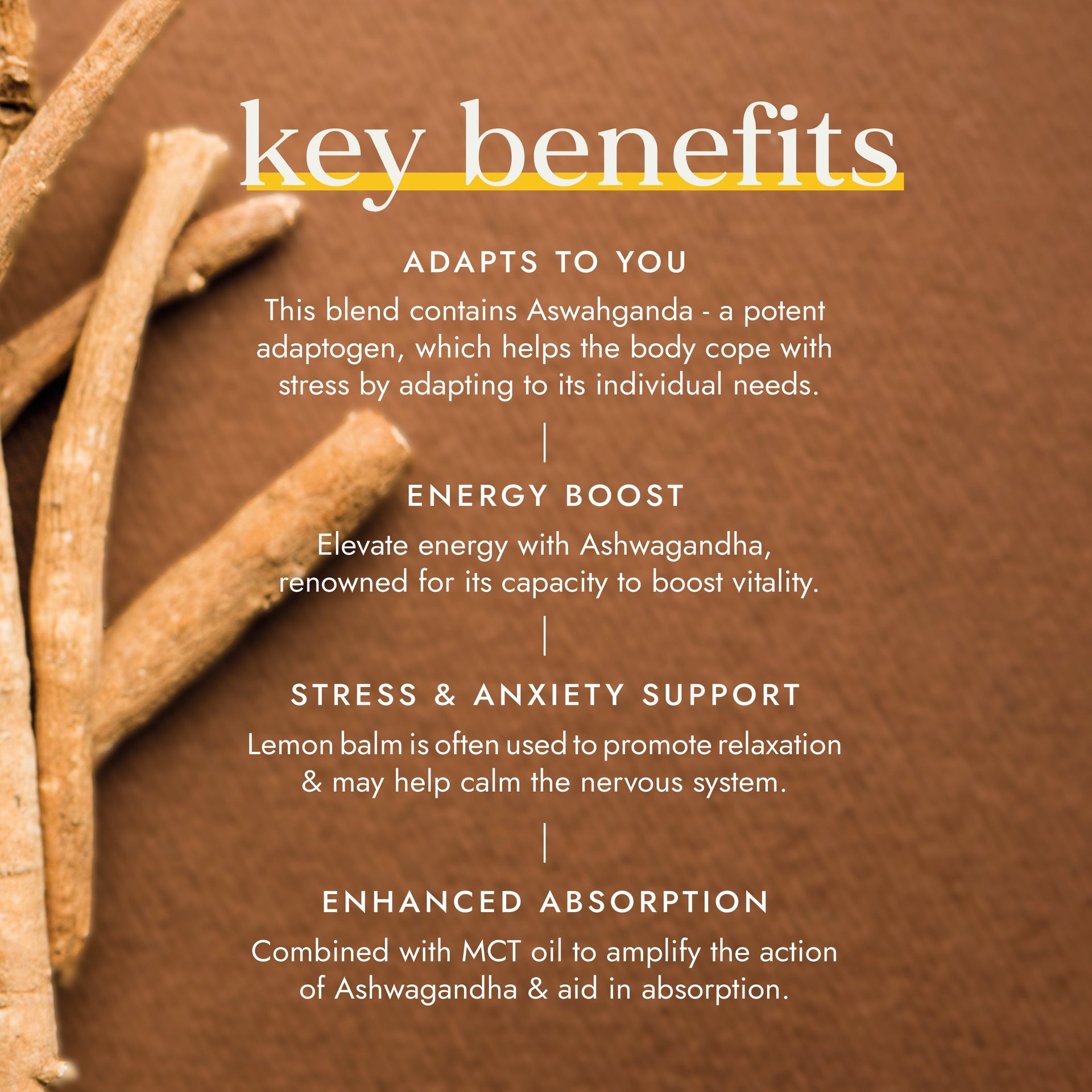 Ashwagandha With Vegan MCT Extract