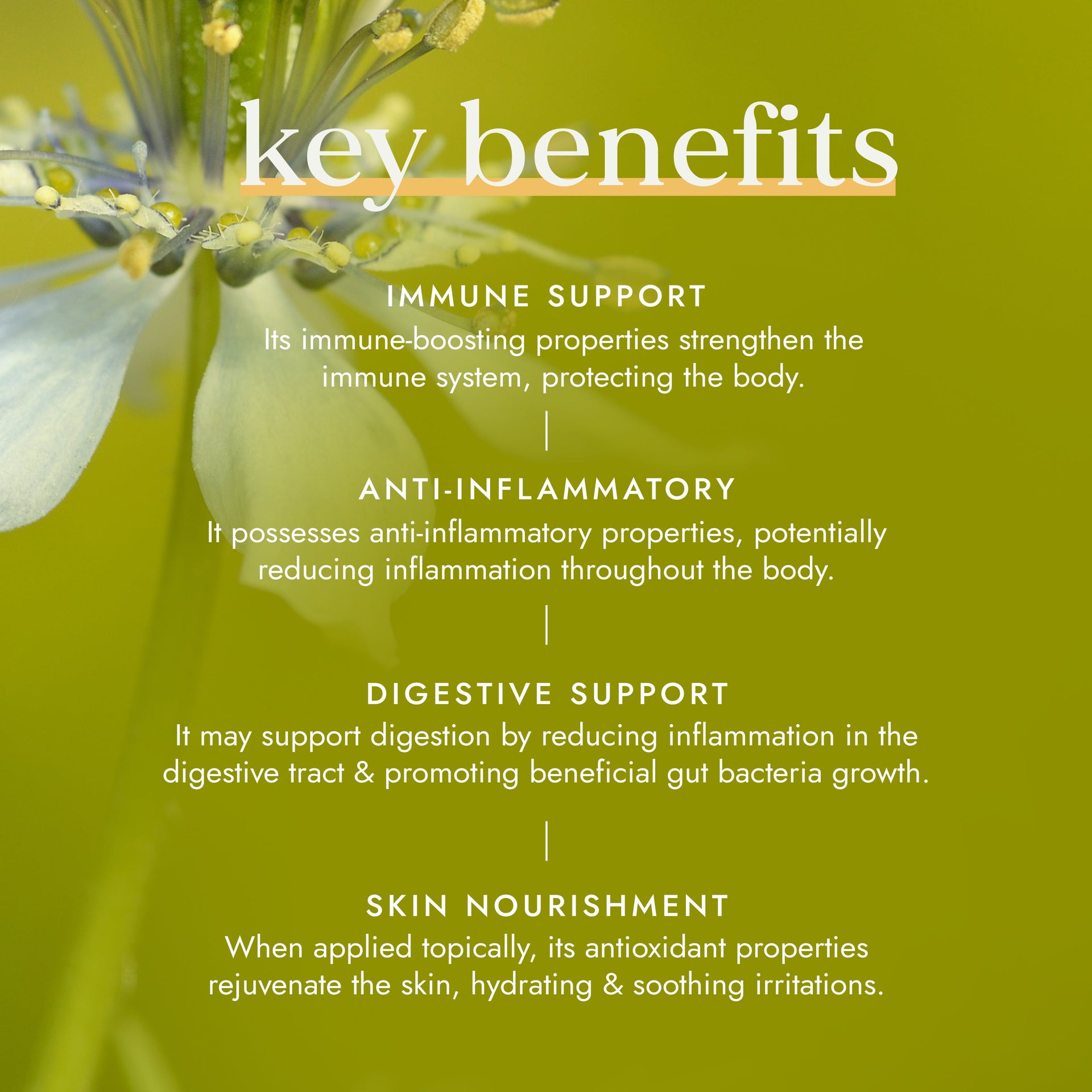 Organic Black Seed Oil