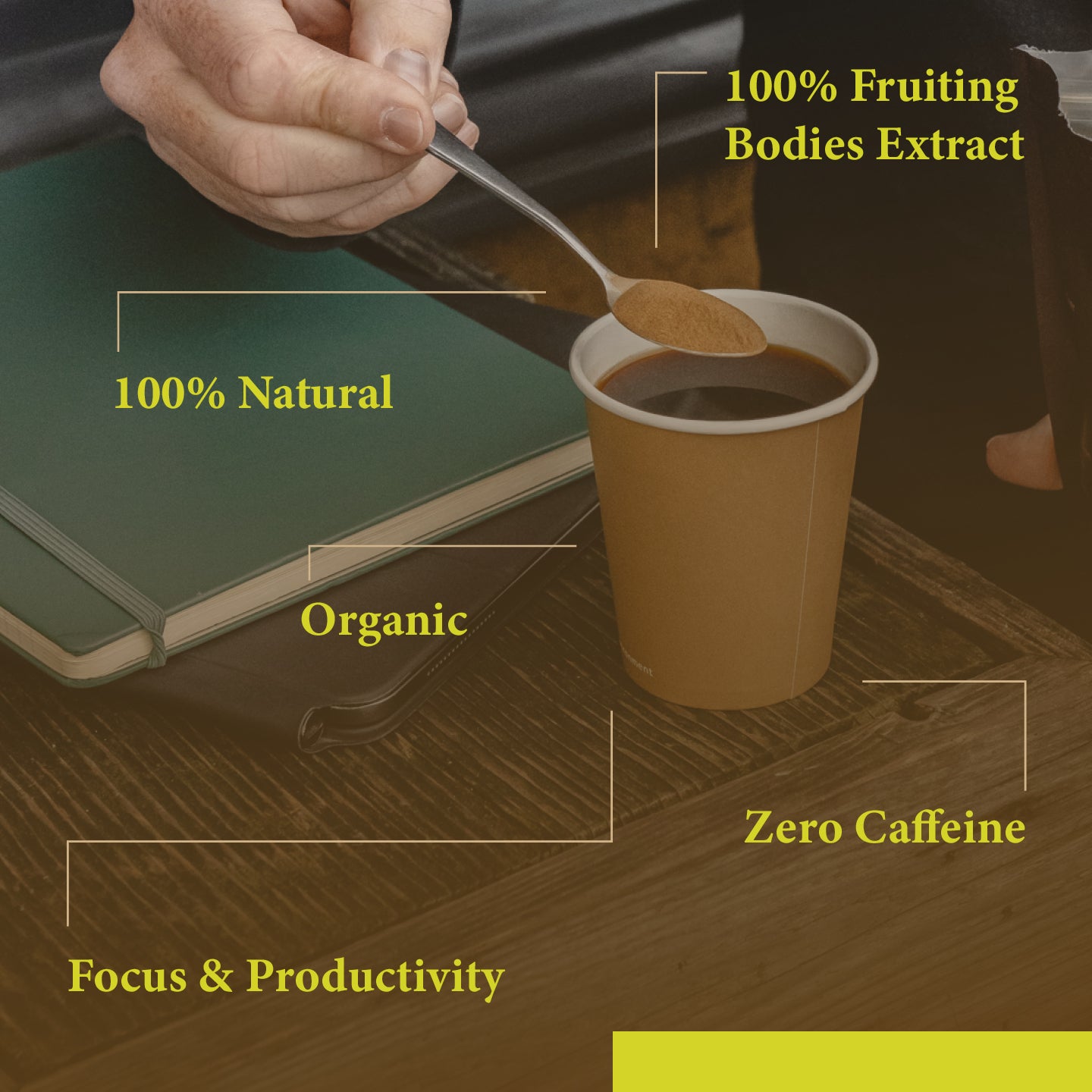 Focus + Protect Blends Starter Bundle