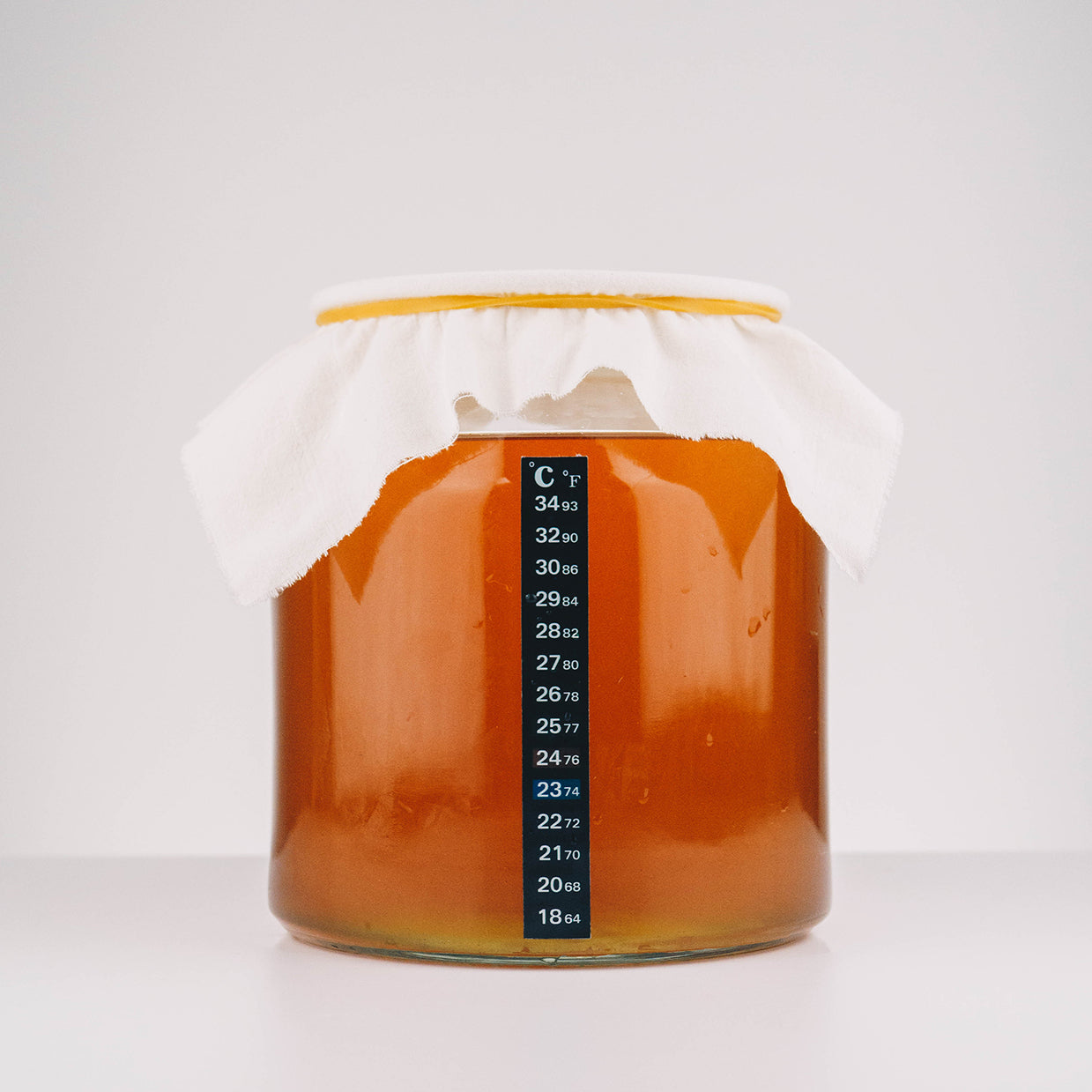 Kombucha Brewing Kit with SCOBY