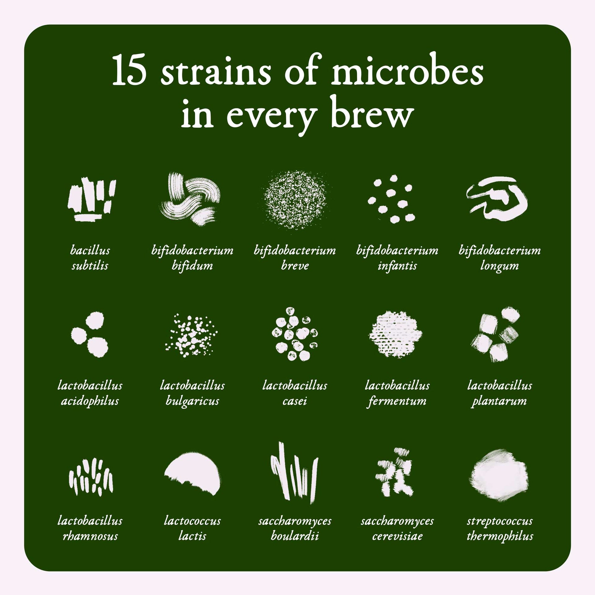 Detox Probiotic Drink
